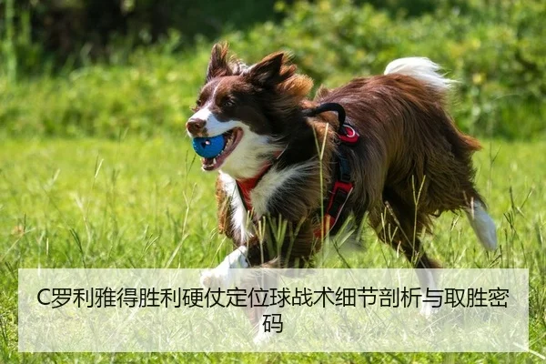 C罗利雅得胜利硬仗定位球战术细节剖析与取胜密码